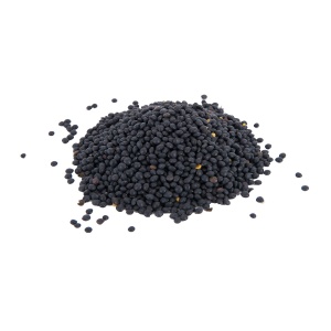 Soczewica czarna 5 kg