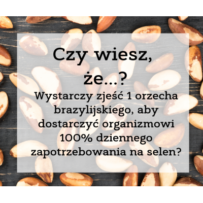 orzechybrazylijskie