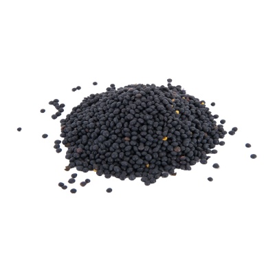 Soczewica czarna 5 kg